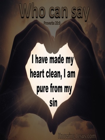Proverbs 20:9 A Clean Heart Pure From Sin (brown)